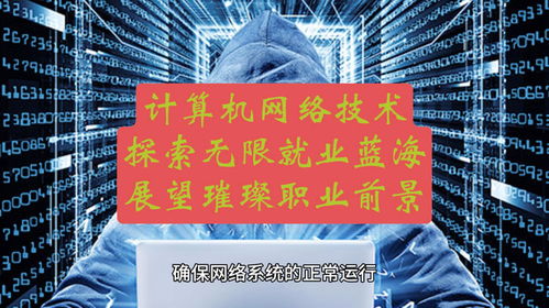計(jì)算機(jī)網(wǎng)絡(luò)技術(shù) 探索無(wú)限就業(yè)藍(lán)海，展望璀璨職業(yè)前景