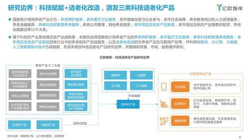 2021中國科技適老化產品研究報告 計算機軟硬件的技術開發